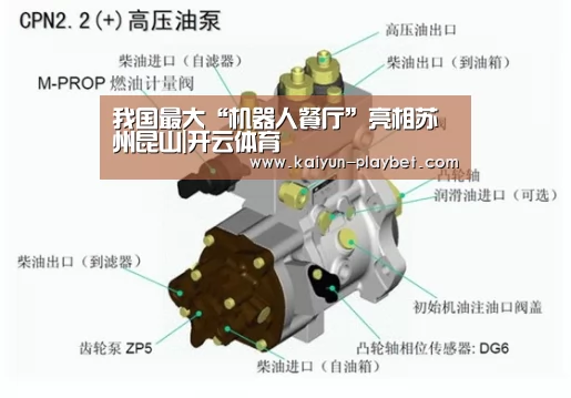 开云首页