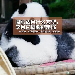 开云电竞