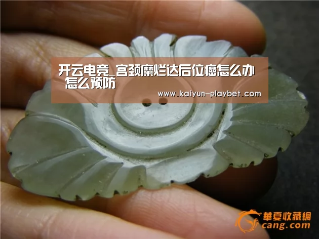 开云首页